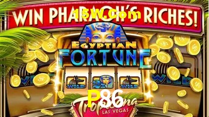 Apostas Esportivas na P86: Um Guia Completo